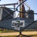 Mercado do açúcar encerra o dia em alta para o contrato março/25, mas com outros vencimentos no vermelho.