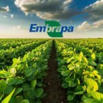 Aprosoja MT lança central de informações do CAR para apoiar produtores na regularização ambiental