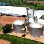 Embrapa e Fundação Cerrados apresentam variedades de soja em Dia de Campo